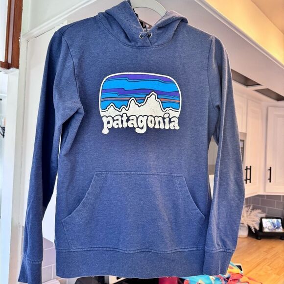 Patagonia Tops - Patagonia blue hoodie size small India hand warmer
